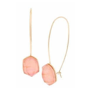 Robert Lee Morris Stone Drop Earrings